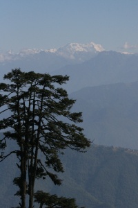 Bhutan nature page