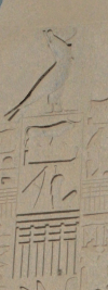 Horus Name Thutmose