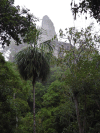 Temple 4 Highest Tikal