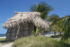 Thatch-roofed Hut Miami Sleepy