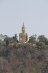 Large Buddha Statue Dhyana
