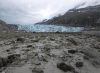 Lamplugh Glacier